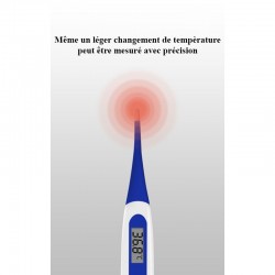 Thermomètre électronique flexible